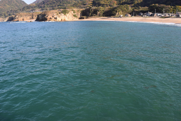 竹野海水浴場の写真