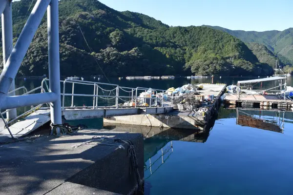 九鬼漁港湾奥にある立入禁止の桟橋