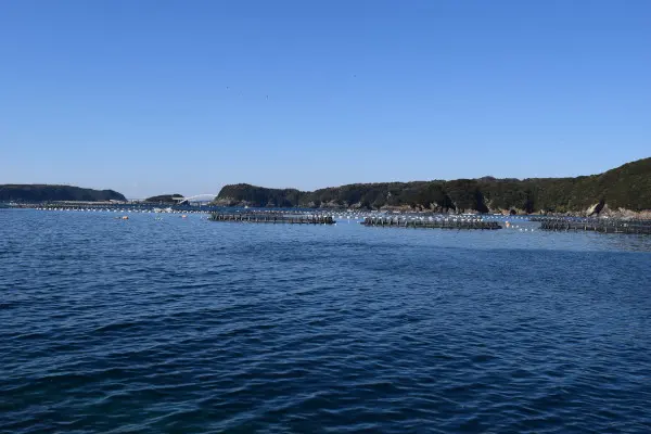 白野漁港からくしもと大橋を撮った写真