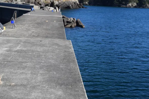 三浦漁港の先端から根元を撮った写真