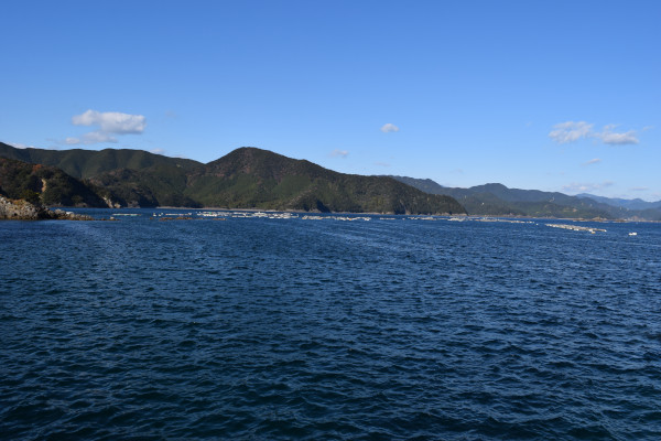 白浦漁港の湾口