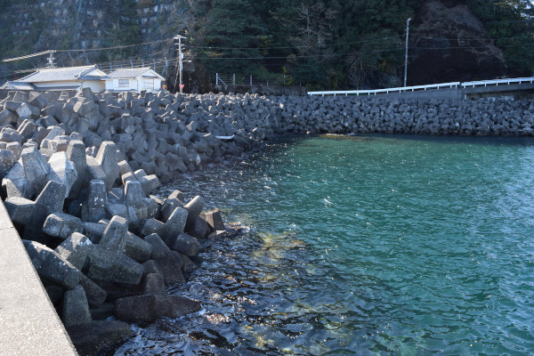 白浦漁港の堤防の外側の消波ブロック