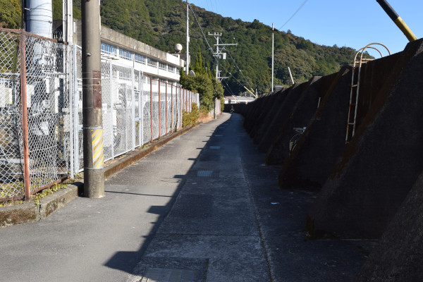 須賀利の町の道