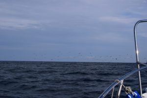 冠島の写真