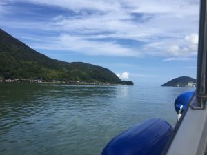 舞鶴湾内濁りの写真