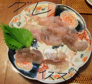 グレ、イスズミ刺身盛り合わせ