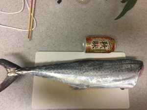 ジギングはベイトが命
