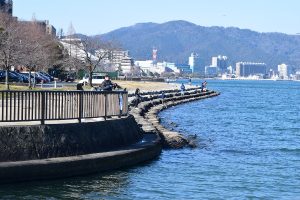 ポイントの住み分け