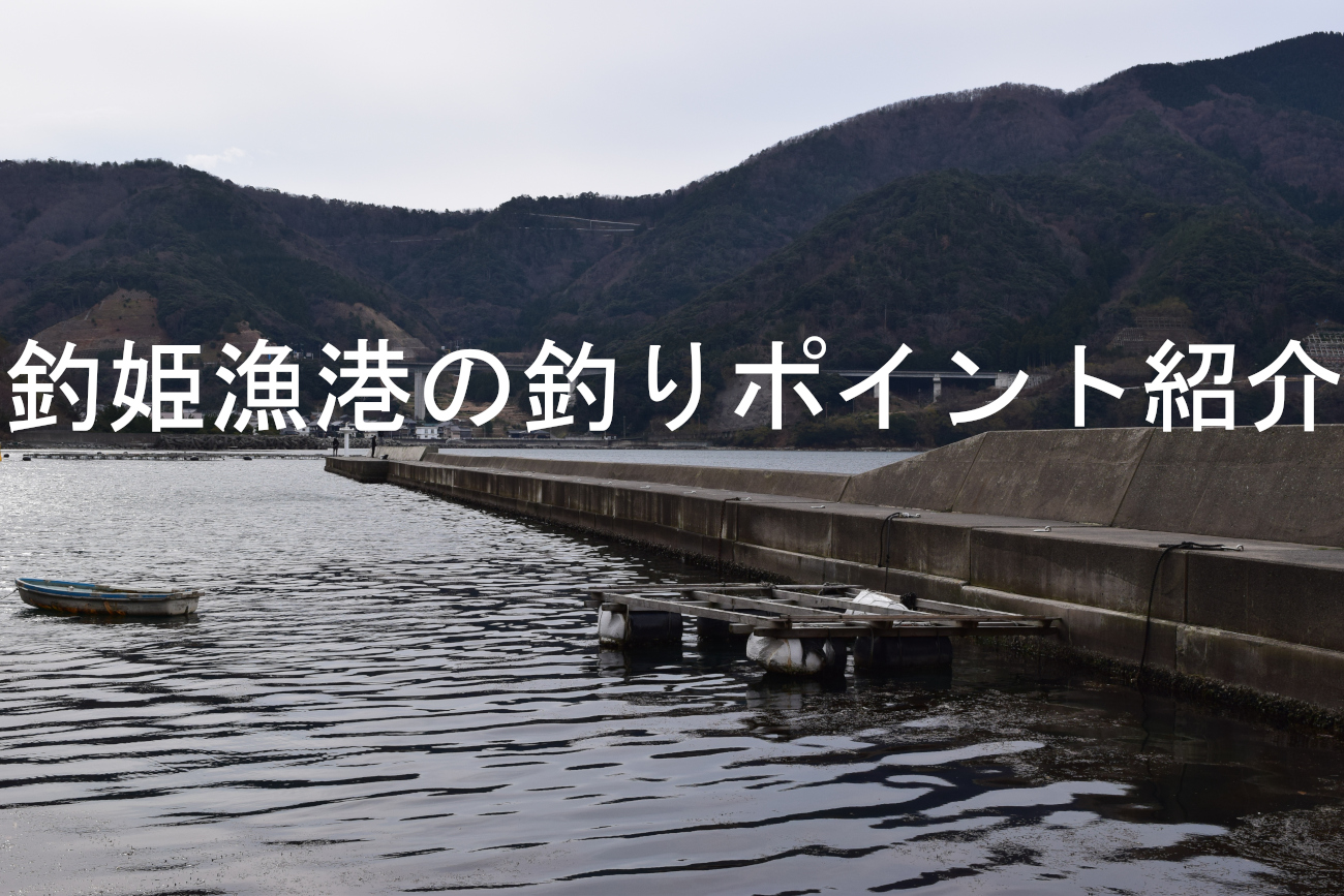 釣姫漁港の釣りポイントアイキャッチ画像