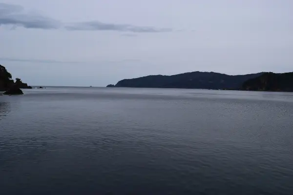 湾口を写した写真