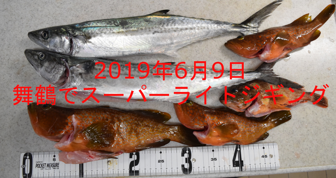 舞鶴スーパーライトジギングアイキャッチ画像