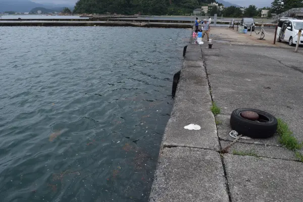 早瀬漁港岸壁
