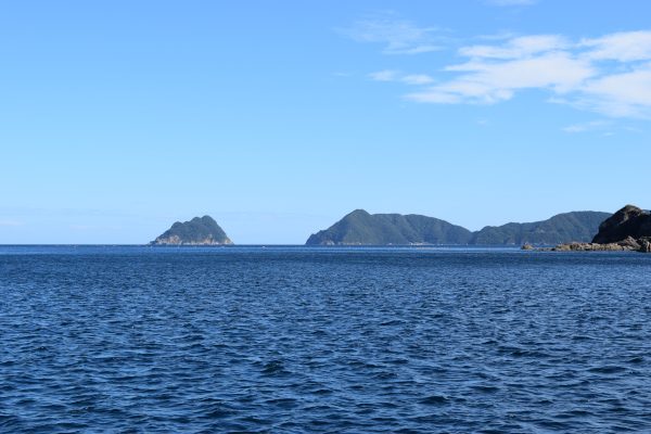 世久見から見た常神半島
