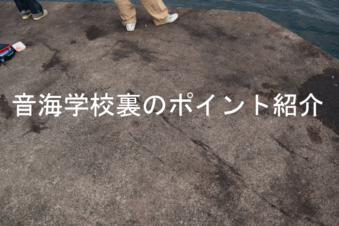 音海学校裏のアイキャッチ画像