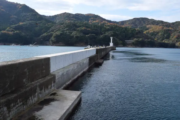 田井漁港