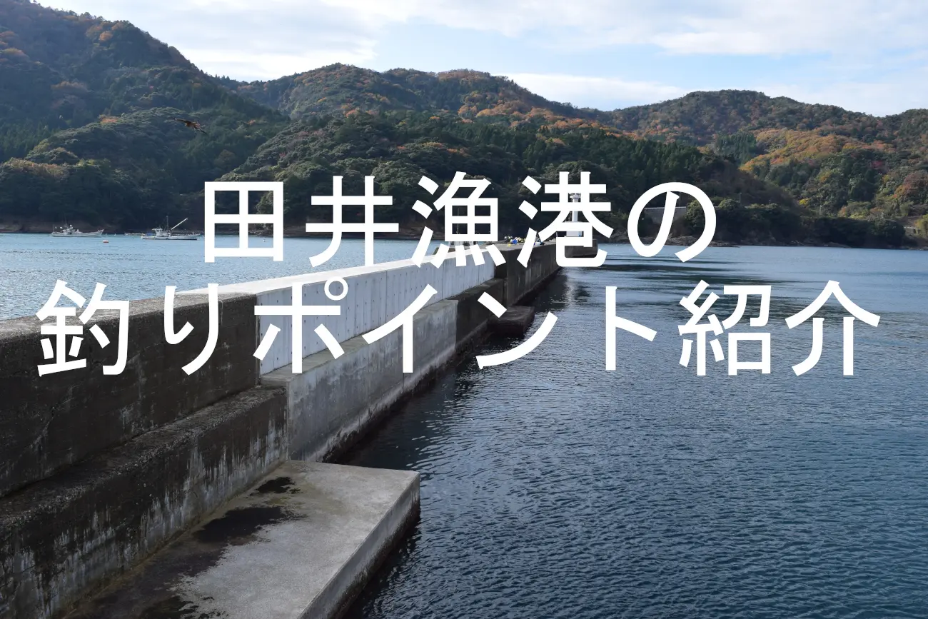 田井漁港のアイキャッチ画像