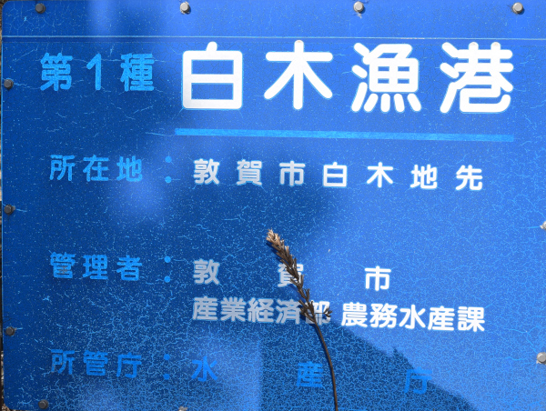 白木漁港