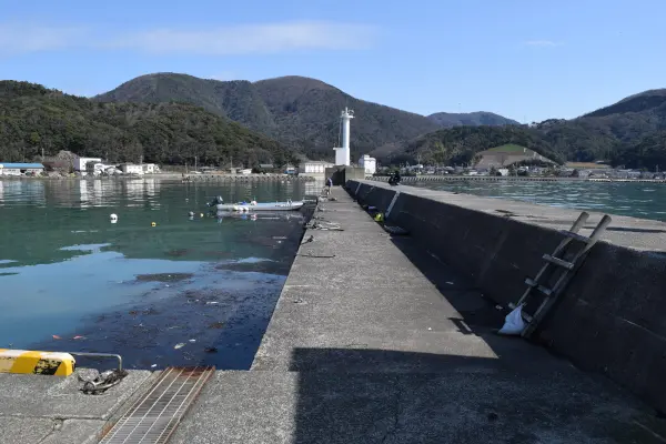 菅浜漁港堤防付け根からの写真