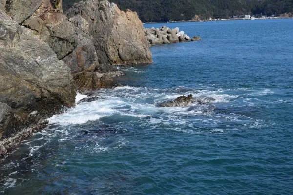 宇久漁港磯場