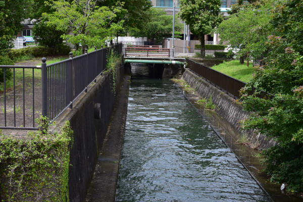 琵琶湖の流れ込み