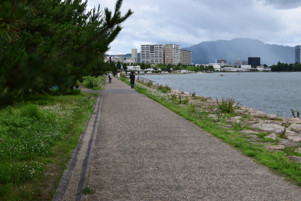 琵琶湖の遊歩道