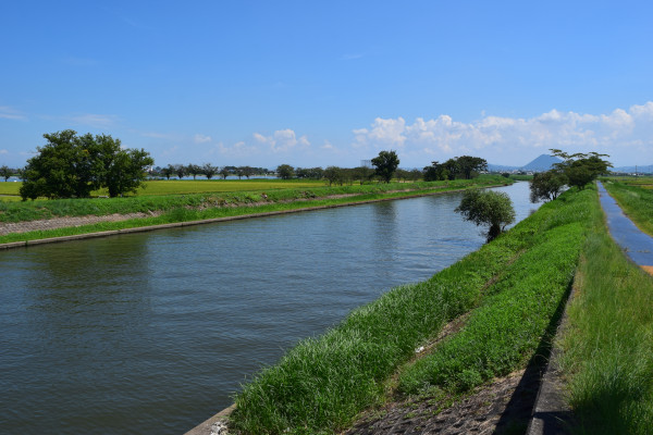 葉山川上流
