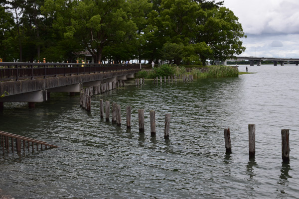 膳所城跡公園の橋