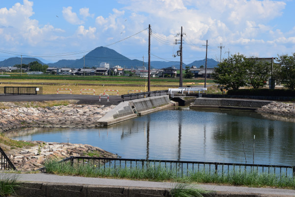 赤野井運河