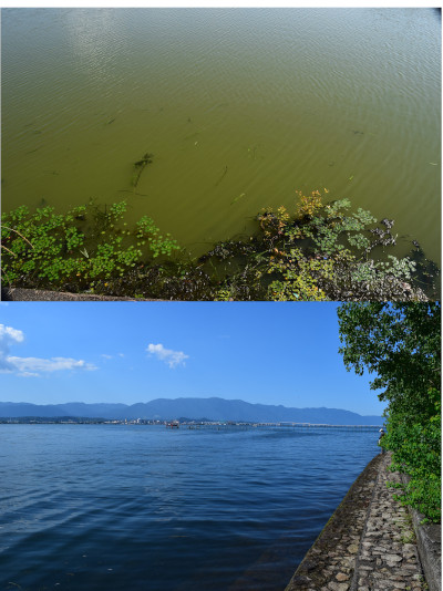 水質比較