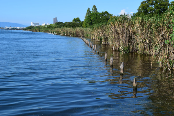 琵琶湖大橋方面
