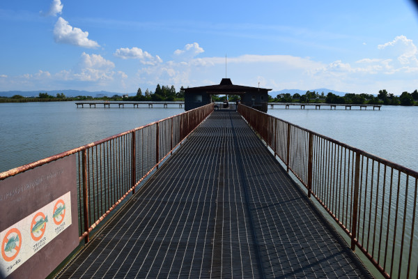木浜内湖釣り桟橋