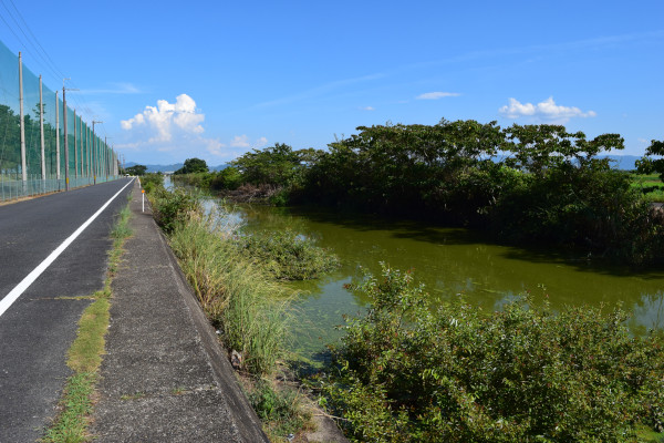 木浜5号水路