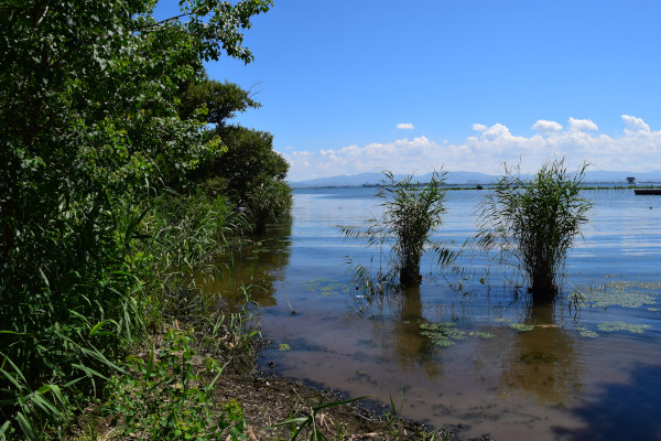 山の下湾