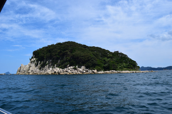 葛島