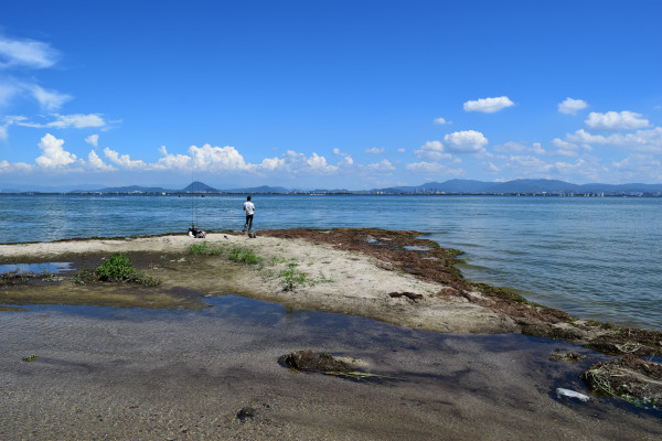 東南寺川河口