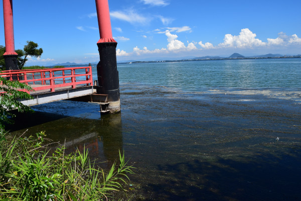 山王鳥居の足元