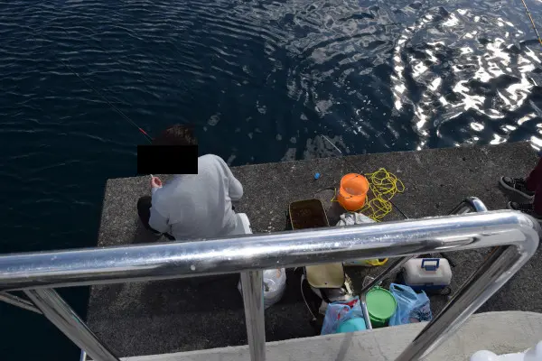 三木浦漁港先端