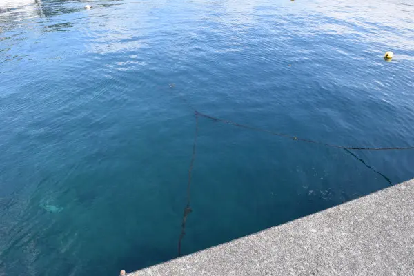 三木浦漁港の堤防