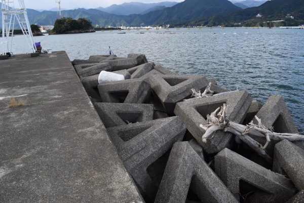 大曽根浦漁港先端