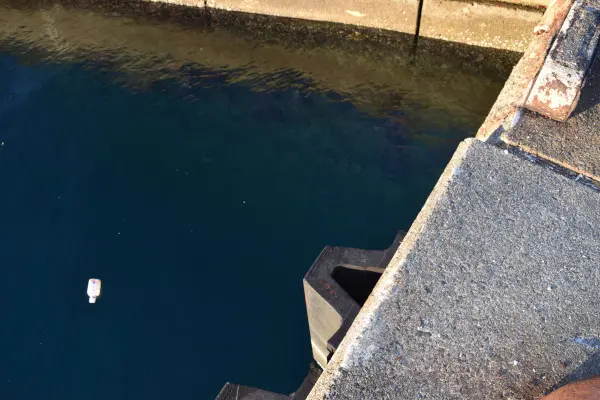 宿浦埋め立て地堤防足元
