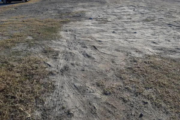 田曽埋め立て地の地面