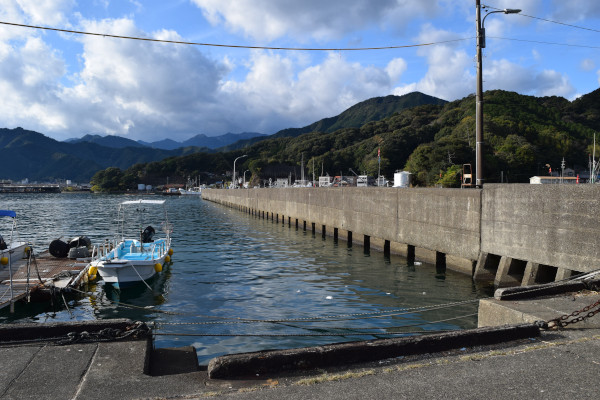 尾鷲港天満浦内側の堤防