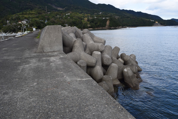 尾鷲港天満浦堤防の消波ブロック