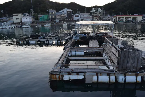小浜漁港内側小割