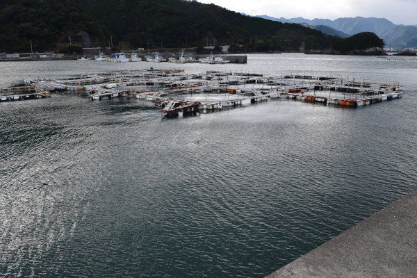 行野浦漁港内側