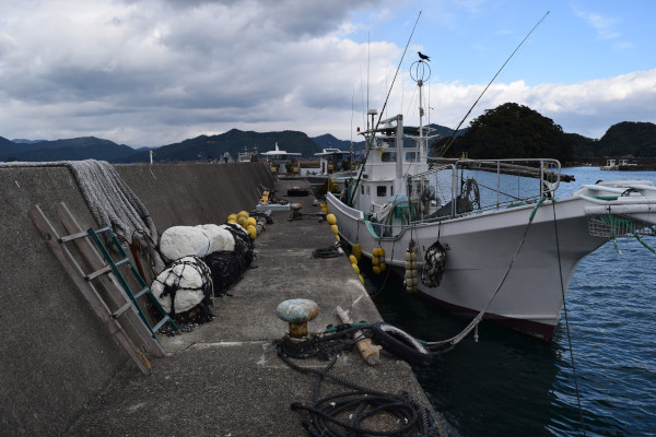行野浦漁港内側