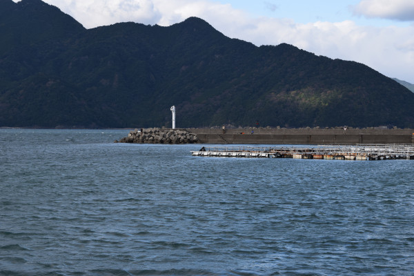 行野浦漁港堤防写真
