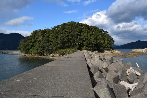行野浦漁港の島