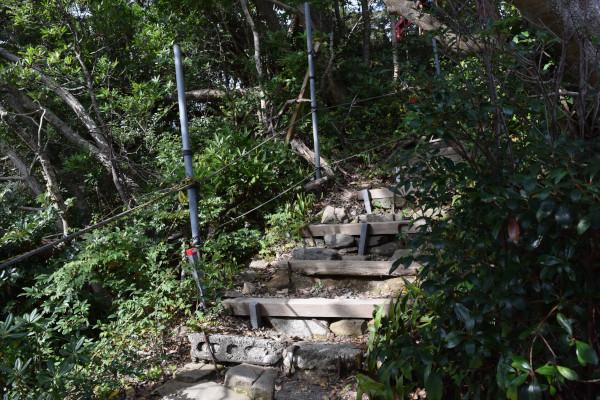 行野浦漁港の遊歩道2