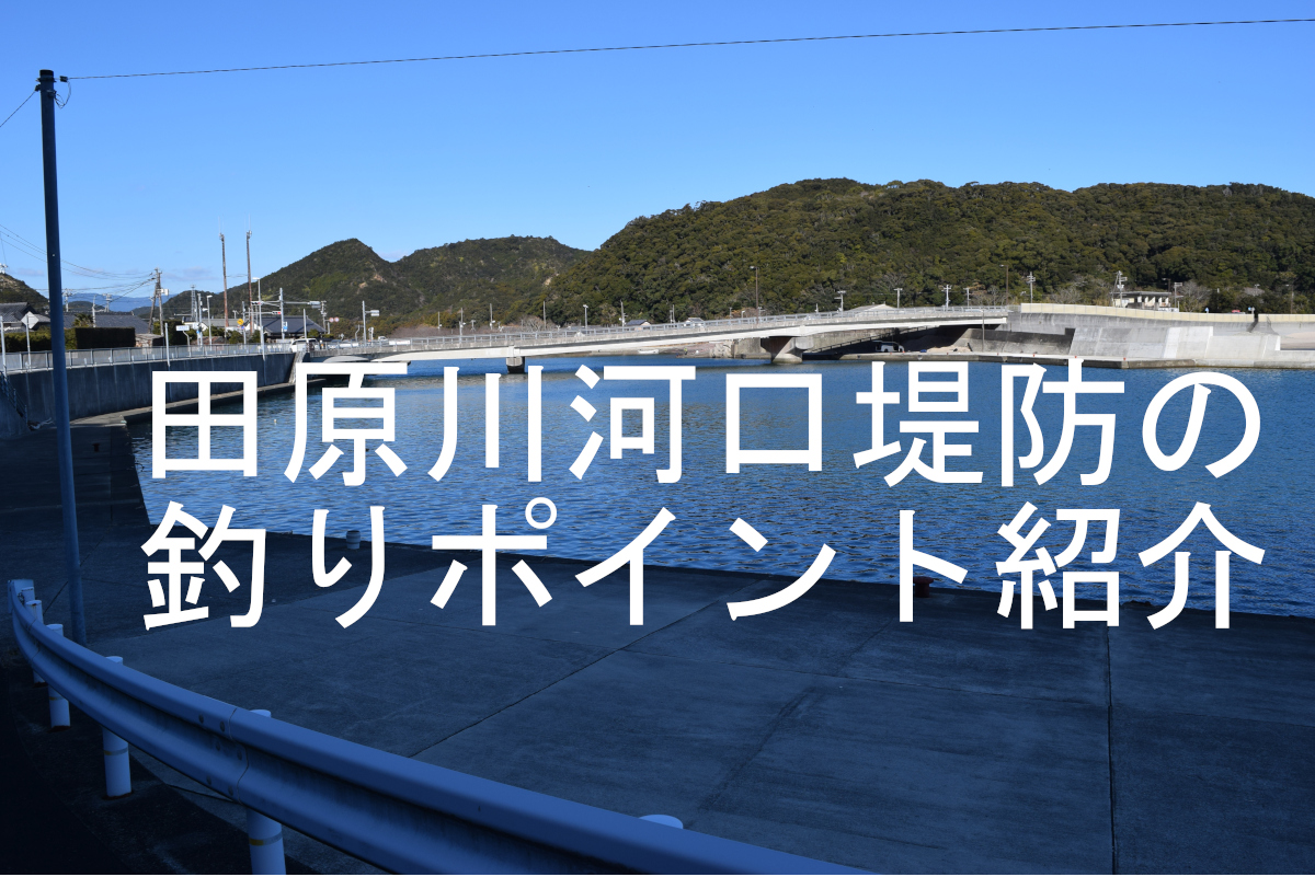 田原川河口堤防のアイキャッチ画像